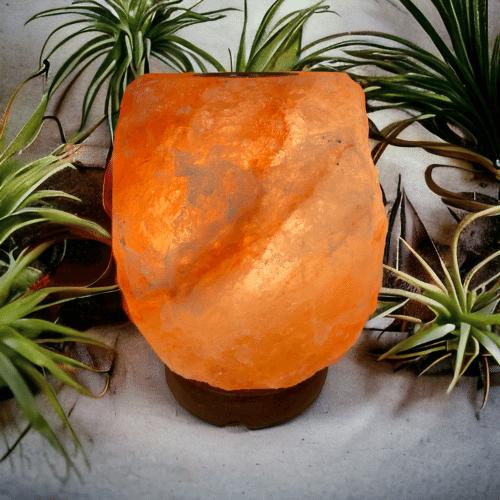 Oranger Himalayasaltlampa på grå bakgrund med växter.